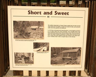 Sweet Creek Falls