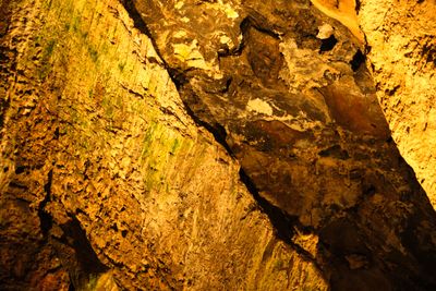 Gardner Cave