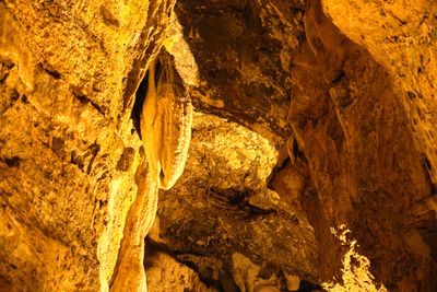 Gardner Cave