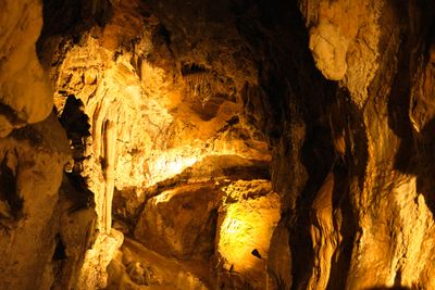 Gardner Cave