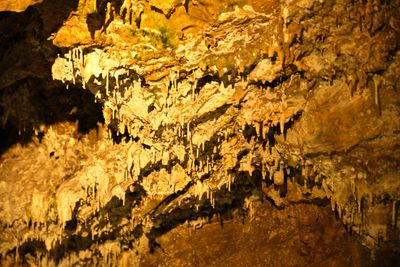 Gardner Cave
