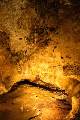 Gardner Cave
