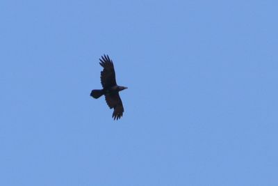 IMG_1247.JPG