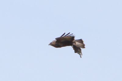 IMG_1351.JPG