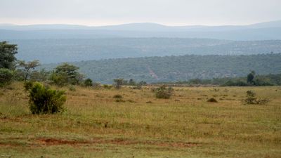 The plains