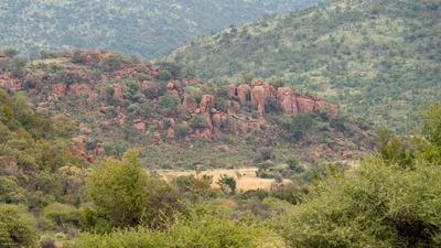 Limpopo view