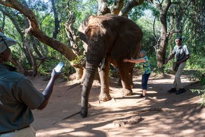 Elephant Santuary