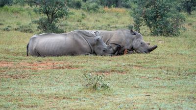 Cooling down on some sweet mud