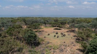 View from top of the Hill