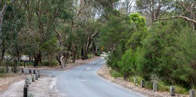 Federation Picnic Area Road