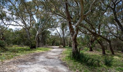 Heathland Trail