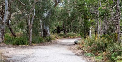 Heathland Trail