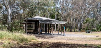 Shelter