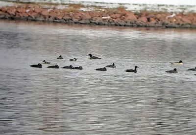 2023 Bird Photos