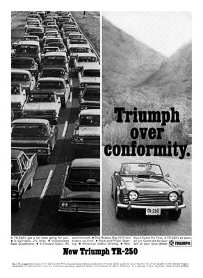 06_TriumphOverConformity_TR250_800.jpg