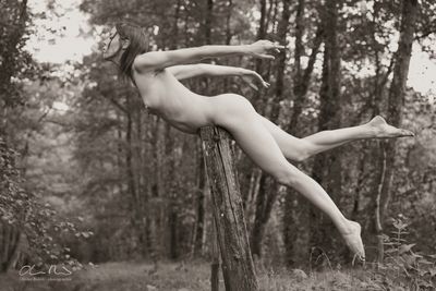 Denisa II (contains nudity)