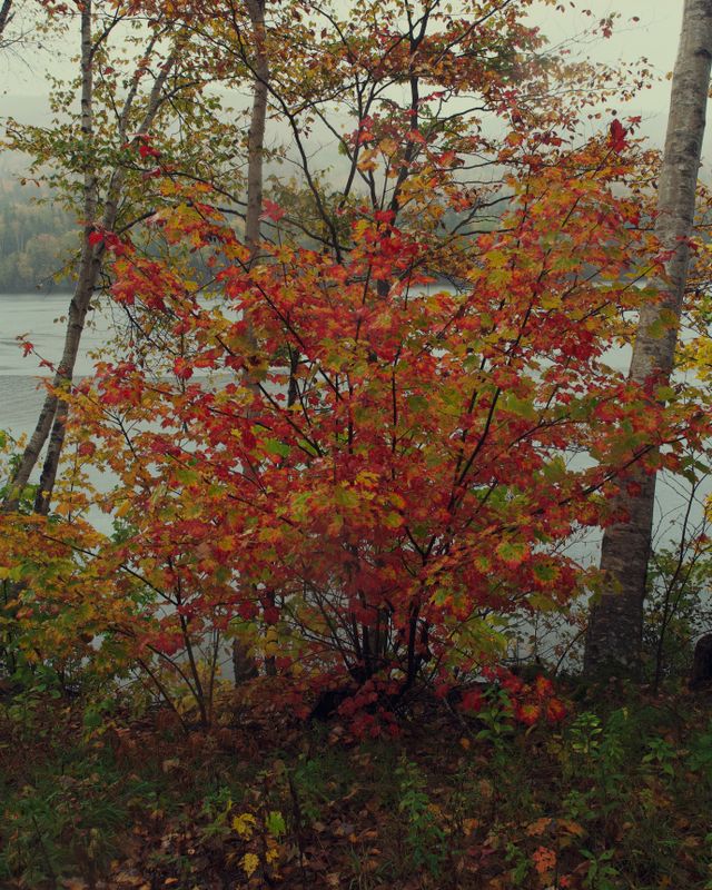 Along the Cabot Trail, Cape Breton, Nova Scotia