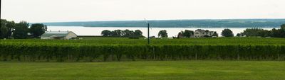 Thirsty Owl Winery, Ovid, New York