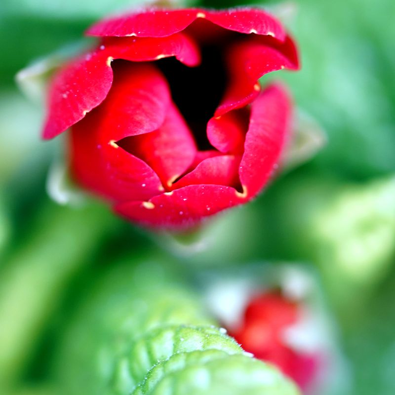 DSC03374a w.jpg