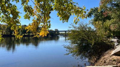 IMG_0914.jpeg