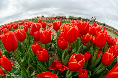 _DSC7369.jpg