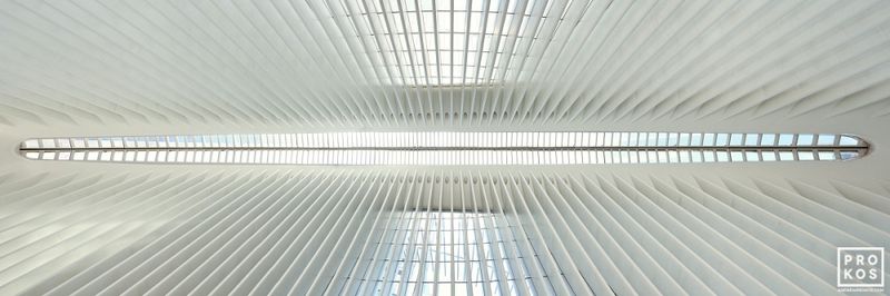 Large-format panoramic color framed photography and fine art prints of NYC architecture, World Trade Center Oculus Interior, in the New York City photos archive of architectural photographer Andrew Prokos. Read more about Andrew's photos in his art photography articles. 


see photo at Artspace