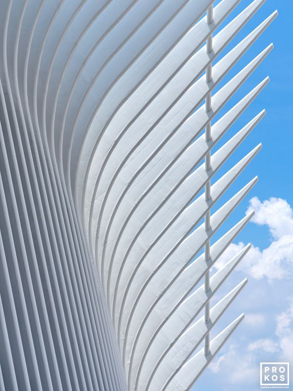 Large-format color framed photographs and fine art images of NYC architecture, World Trade Center Oculus exterior, in the New York City photo gallery of architectural photographer Andrew Prokos. Read more about Andrew's photos in his art photography articles. 