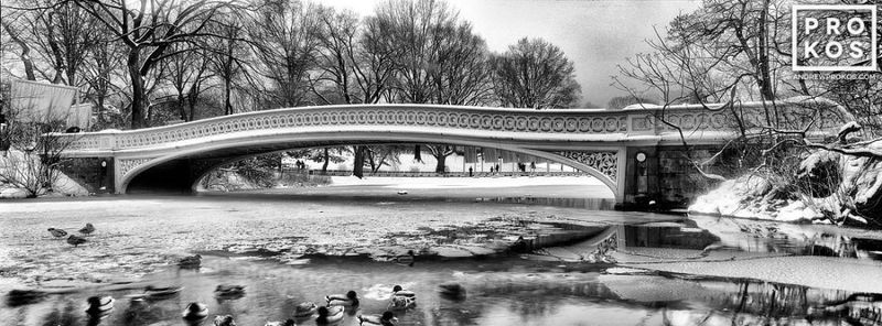 Limited edition Black and white photograph of Bow Bridge in winter in New York City's Central Park by fine art photographer Andrew Prokos. Fine art photography prints of this and other landscape photos are available in sizes up to 48 inches. Artwork ships from the artist's NYC fine art photography, London, or Dubai studio.