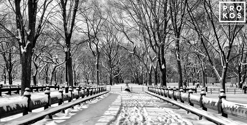 Black and white photo of a winter landscape of Gapstow Bridge and the Pond in winter in Central Park by master NYC photographer Andrew Prokos. Limited edition prints of this photo are available up to 60 inches in width. Ships from the artist's New York photo gallery
