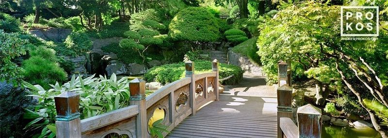 Limited edition landscape prints of the Japanese Bridge at the Brooklyn Botanic Gardens in New York City by photographer Andrew Prokos. Fine art photography prints of this photo are available up to 120 inches in width. Framed artwork ships from the artist's NYC photography gallery and London photography gallery.

see at Artspace site

