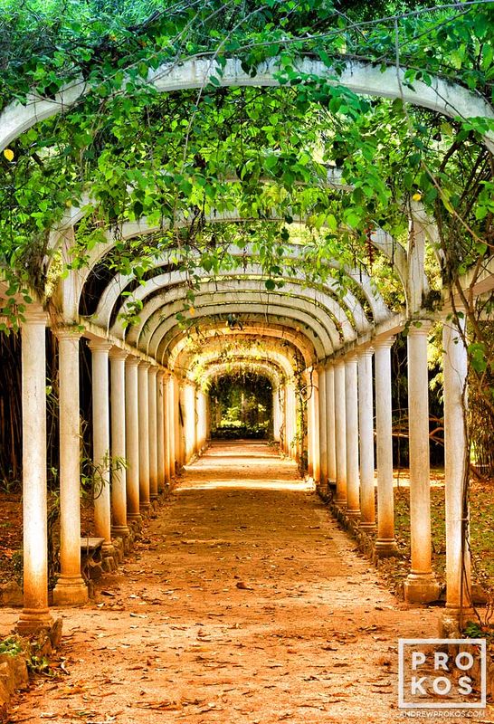 Fine art photograph from the award-winning series of Brazil landscape photographs  by fine art photographer Andrew Prokos. Framed prints  are available in sizes up to 48 inches in height. Photos ship direct from the artist's NYC photography gallery.