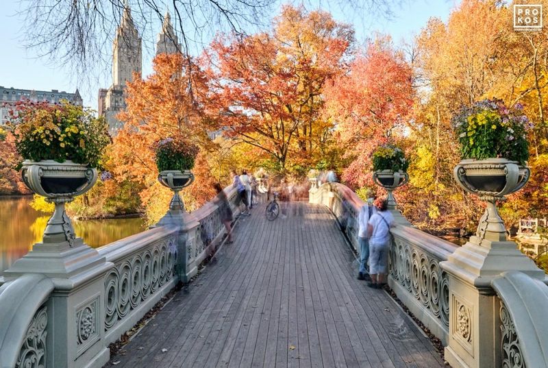 Limited edition Fine art photography website featuring a long-exposure landscape photo from Central Park by master landscape photographer Andrew Prokos. This high-definition fine art print is composed of multiple images merged to create large-format prints available up to 96 inches in height. Please inquire regarding additional print sizes. Artwork ships direct from the artist's DC photos, Dubai photos,  London photos or New York photos gallery.