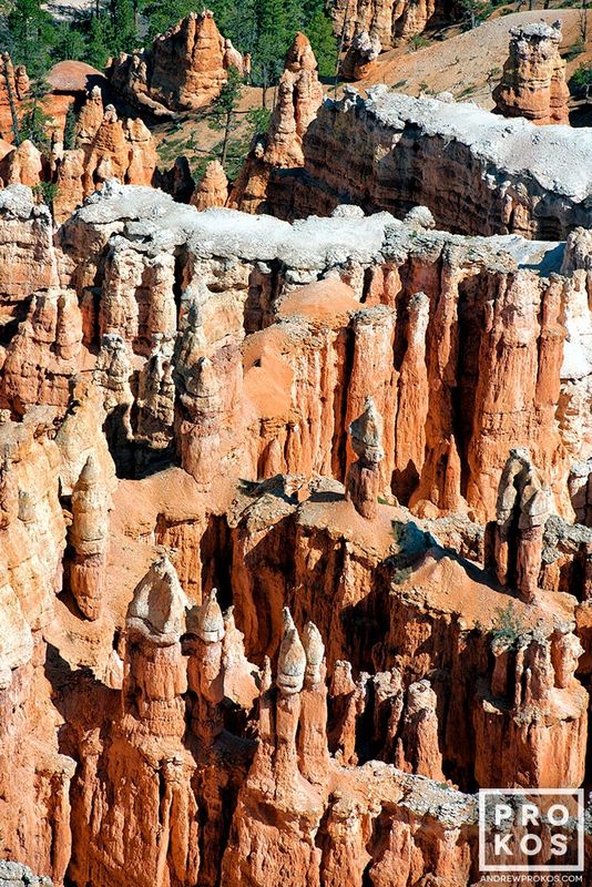 Landscape photograph  from the award-winning series of Bryce Canyon landscapes  by fine art photographer Andrew Prokos. Framed photographs  available in sizes up to 48 inches in height. Photos ship direct from the artist's New York fine art photography gallery.