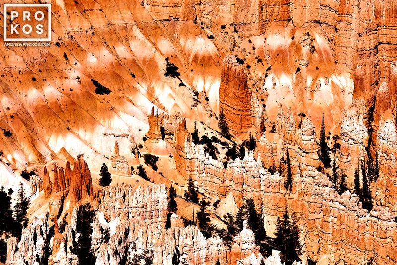 Landscape photograph  from the award-winning series of Western USA landscape photography  by fine art photographer Andrew Prokos. Framed fine art prints  are available in sizes up to 48 inches in width. Photos ship direct from the artist's New York City photography gallery.