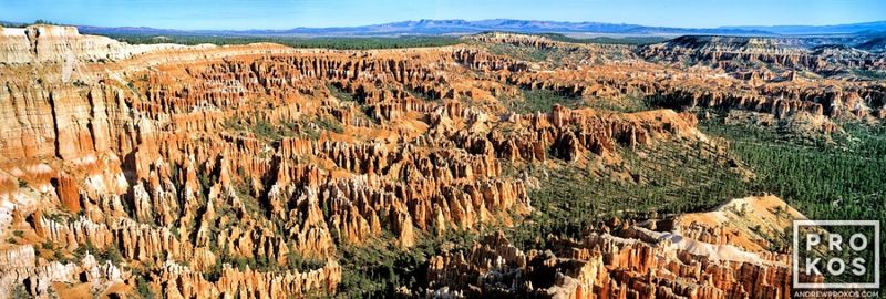 Panoramic landscape photograph of Bryce Canyon panoramic view, Utah from the award-winning American landscapes collection by landscape photographer Andrew Prokos.   Large-format photographs  are available up to 90 inches in width. Ships from the artist's NYC photos gallery.