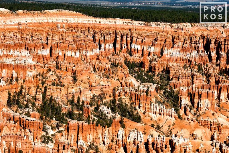 Landscape photograph from the award-winning series of Western USA landscape photography  by fine art photographer Andrew Prokos. Framed fine art prints  are available in sizes up to 48 inches in width. Photos ship direct from the artist's New York City photography gallery.