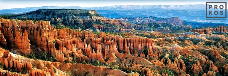 Panoramic landscape photograph of Bryce Canyon, Utah from the award-winning Western landscapes collection by fine art photographer Andrew Prokos.   Large-format photographs  are available up to 90 inches in width. Ships from the artist's New York fine art photography gallery.