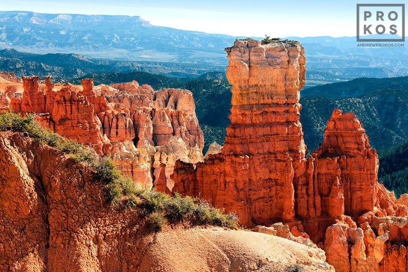 Western landscape photograph  from the award-winning series of Bryce Canyon Utah landscapes  by fine art photographer Andrew Prokos. Framed photographs  available in sizes up to 48 inches in width. Photos ship direct from the artist's New York fine art photography gallery.