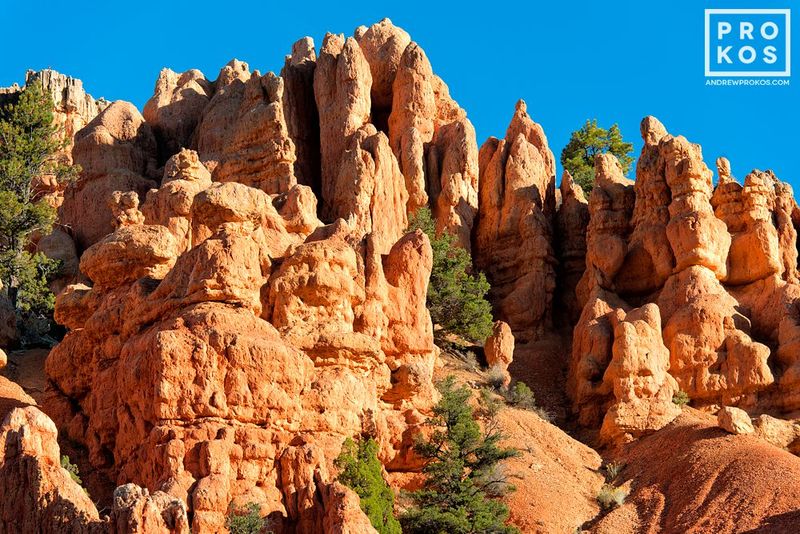 A Western landscape photograph from the award-winning series of Bryce Canyon photos by fine art photographer Andrew Prokos. Framed prints 
 are available in sizes up to 48 inches in width. Photos ship direct from the artist's New York gallery.