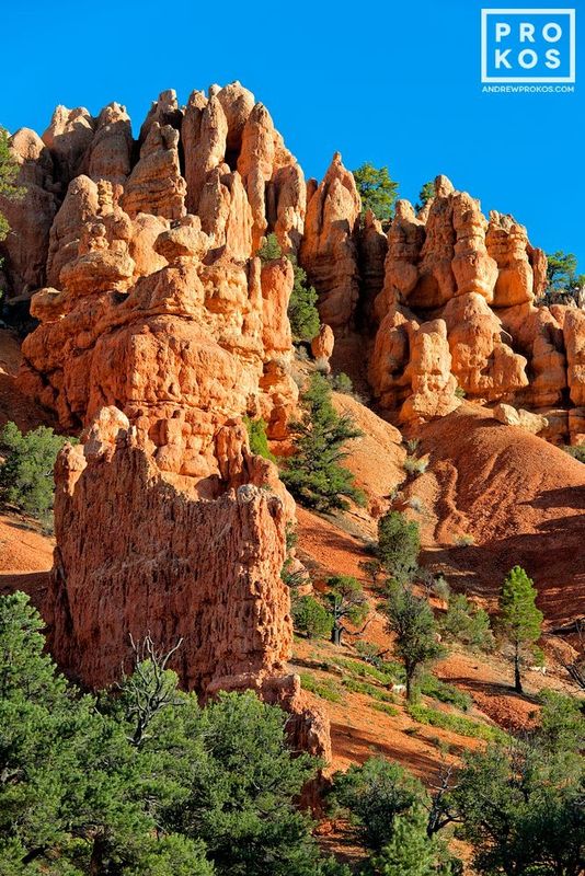 https://andrewprokos.com/photo/red-canyon-landscape-3/