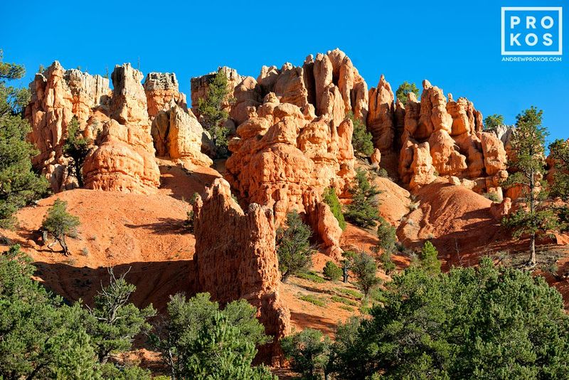 https://andrewprokos.com/photo/red-canyon-landscape-2/
