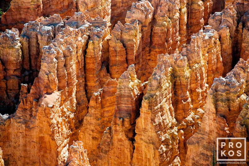 Landscape photograph  from the award-winning series of Bryce Canyon landscapes  by fine art photographer Andrew Prokos. Framed photographs  available in sizes up to 48 inches in width. Photos ship direct from the artist's New York fine art photography gallery.