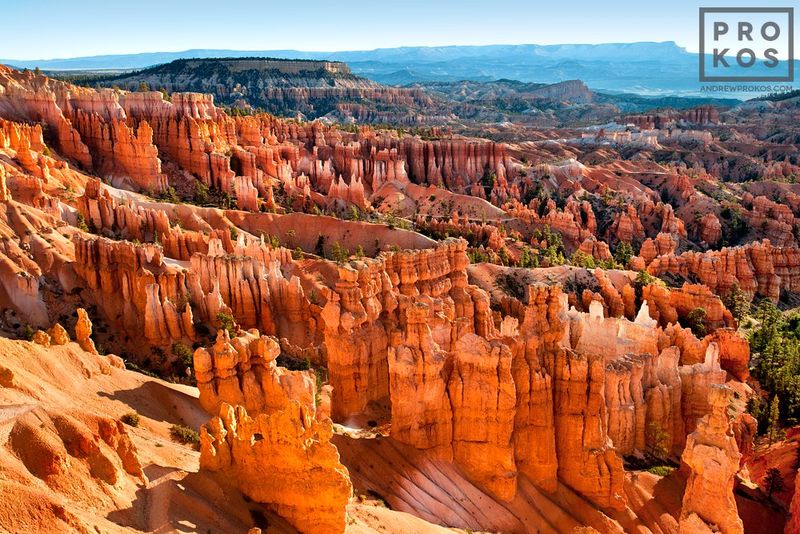 A Western landscape photograph from the award-winning series of Bryce Canyon photographs by Andrew Prokos. Framed limited edition prints are available in sizes up to 48 inches in width. Photos ship direct from the artist's NYC gallery.