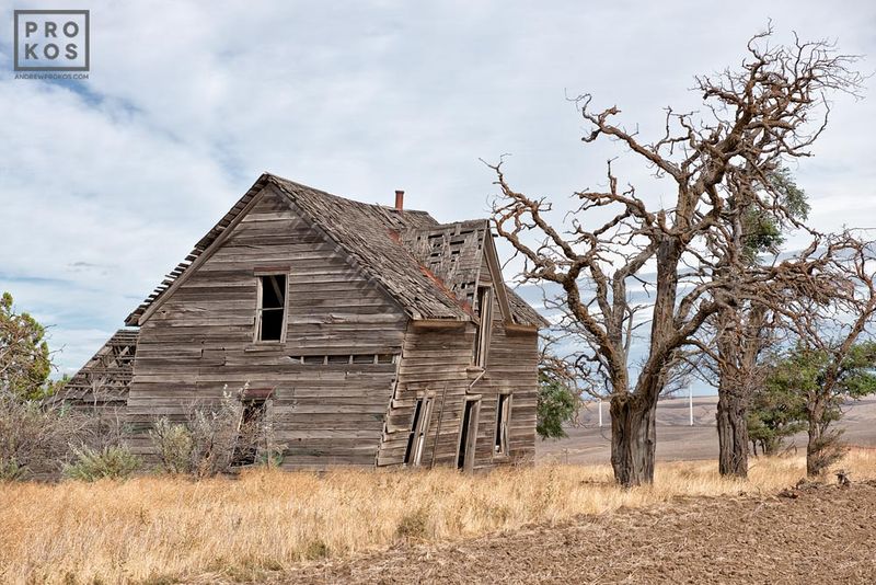 Fine art landscape photograph from the award-winning series of Western USA landscapes  from Oregon by fine art photographer Andrew Prokos. Framed fine art prints  are available in sizes up to 48 inches in width. Photos ship direct from the artist's New York City photography gallery.