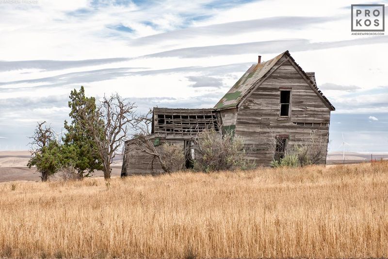 Fine art landscape photograph from the award-winning series of Western USA landscapes  from Oregon by fine art photographer Andrew Prokos. Framed fine art prints  are available in sizes up to 48 inches in width. Photos ship direct from the artist's New York City photography gallery.
