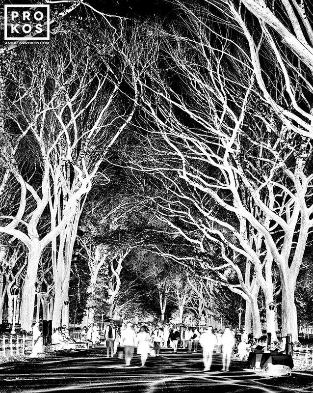 Limited edition fine art photographs from fine art photographer Andrew Prokos's award-winning black and white photography series 'Inverted'. Signed and numbered fine art photographs available as large-format prints in sizes up to 72 inches in width. Ships direct from the artist's New York City photography gallery.