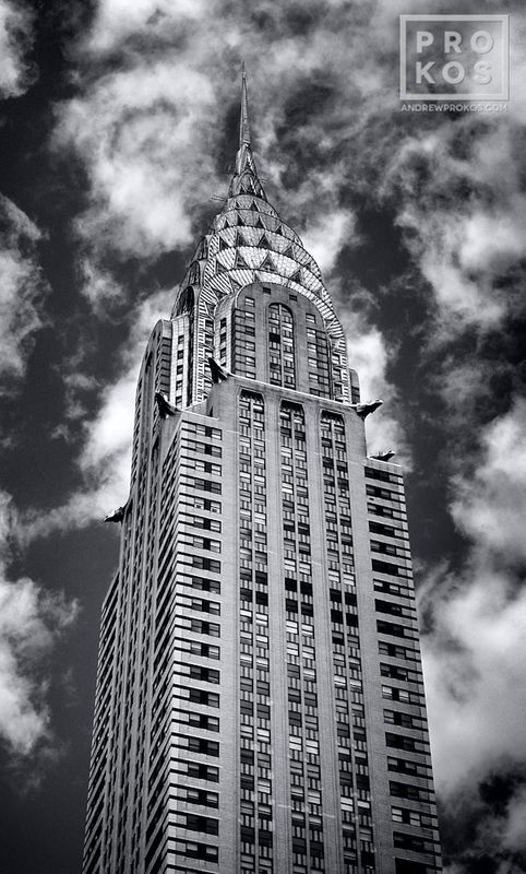 Black and White Architectural Photography