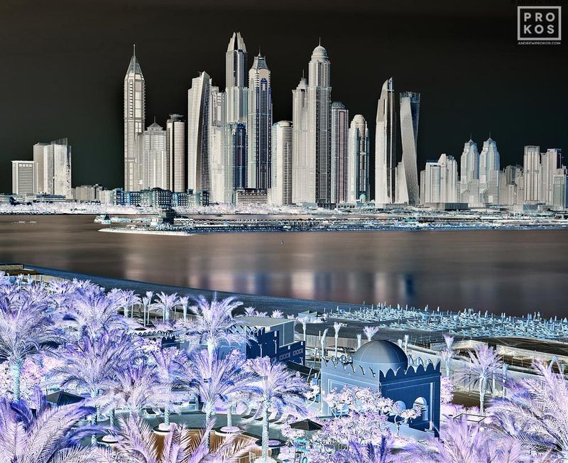 Inverted - Dubai Marina Landscape