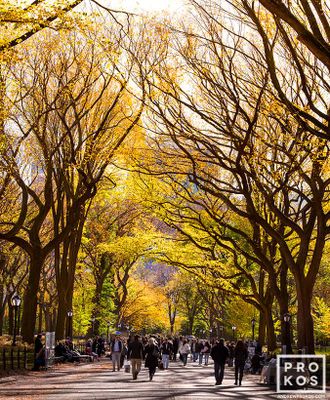 Poets walk in autumn