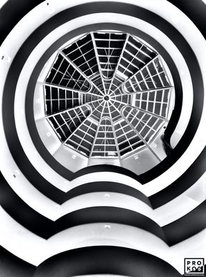 g13/57/5217057/3/174691108.57d30d4a.JPEG